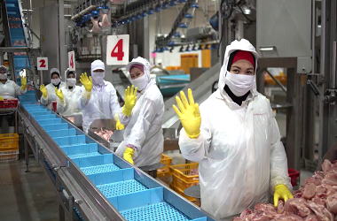 Home factory saff